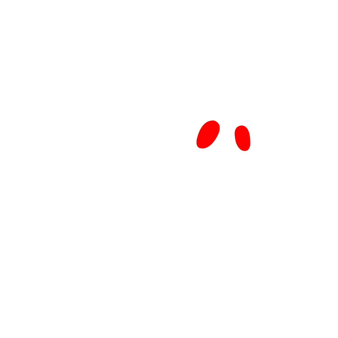 VectorGhost